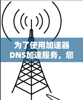 为了使用加速器DNS加速服务，您可以按照以下步骤进行