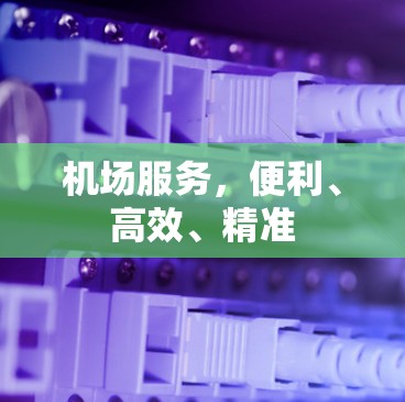 机场服务,便利、高效、精准 机场服务,便利、高效、精准
