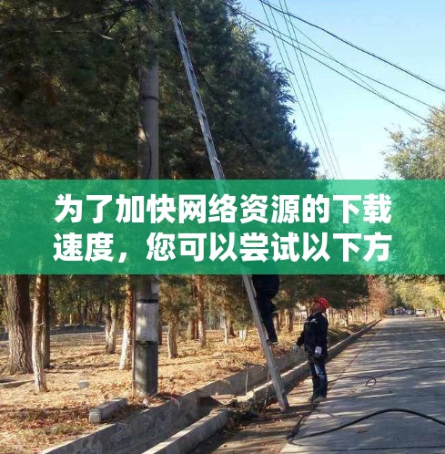 为了加快网络资源的下载速度，您可以尝试以下方法