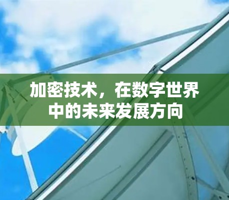 加密技术，在数字世界中的未来发展方向