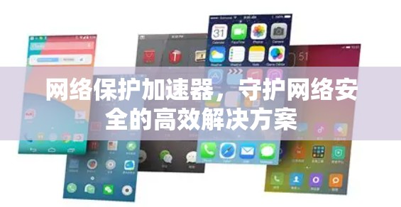 网络保护加速器，守护网络安全的高效解决方案