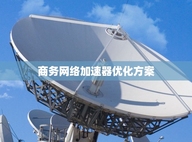 商务网络加速器优化方案