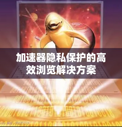 加速器隐私保护的高效浏览解决方案 加速器隐私保护的高效浏览解决方案
