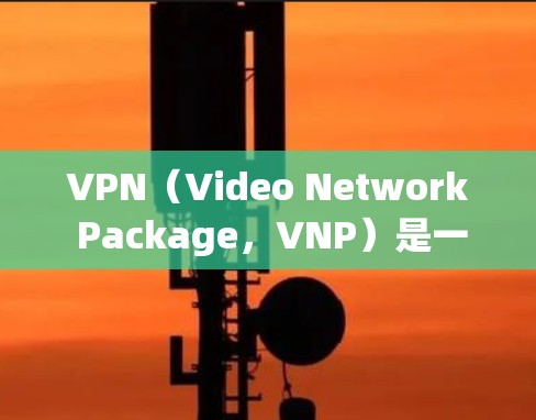 VPN（Video Network Package，VNP）是一种用于在网络和云端之间进行安全访问的工具，帮助用户避免网络攻击和数据泄露。以下是关于VPN的详细介绍