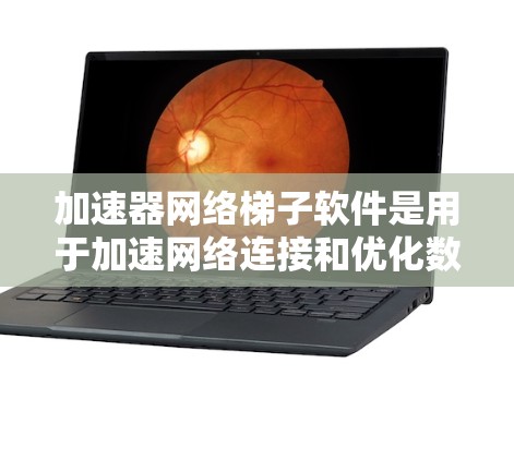 加速器网络梯子软件是用于加速网络连接和优化数据传输的工具，主要分为加速器和网络梯子两部分。以下是详细的总结和解释