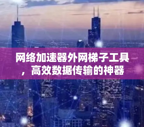 网络加速器外网梯子工具，高效数据传输的神器