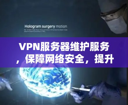 VPN服务器维护服务，保障网络安全，提升用户体验