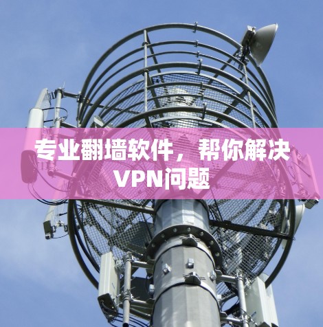 专业翻墙软件，帮你解决VPN问题