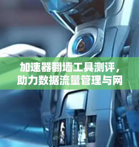 加速器翻墙工具测评，助力数据流量管理与网络效率提升