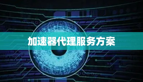 加速器代理服务方案