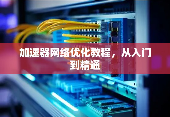 加速器网络优化教程，从入门到精通