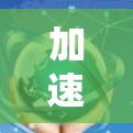 加速器线路租用平台是一个帮助用户租用网络加速设备的平台，旨在通过提供高效的网络服务来提升用户的数据传输速度。以下是对该平台的详细分析