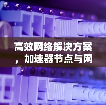 高效网络解决方案，加速器节点与网络架构优化