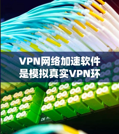 VPN网络加速软件是模拟真实VPN环境的工具，用户通过这些软件可以更轻松地进行VPN连接和网络加速。以下是对这些软件的详细介绍