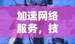 加速网络服务，技术与应用的创新突破