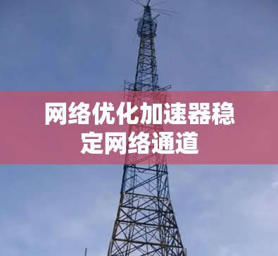 网络优化加速器稳定网络通道