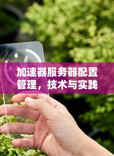 加速器服务器配置管理，技术与实践的平衡