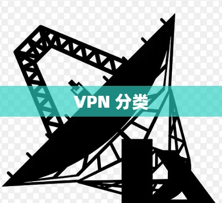 VPN 分类