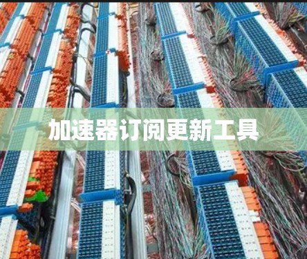 加速器订阅更新工具
