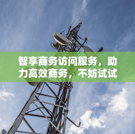 智享商务访问服务，助力高效商务，不妨试试