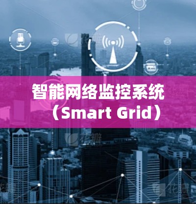 智能网络监控系统(Smart Grid) 智能网络监控系统(Smart Grid)