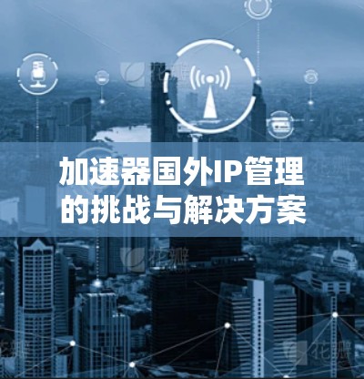 加速器国外IP管理的挑战与解决方案