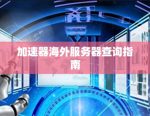 加速器海外服务器查询指南