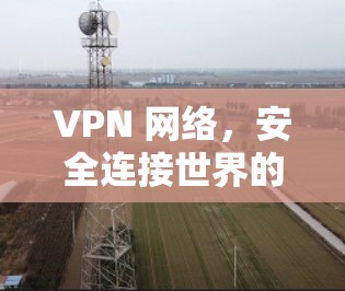 VPN 网络，安全连接世界的另一扇门