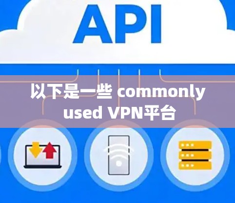 以下是一些 commonly used VPN平台
