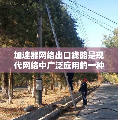 加速器网络出口线路是现代网络中广泛应用的一种基础设施，用于连接内部网络设备与外部网络环境，提升数据传输效率。以下是关于加速器网络出口线路的详细分析