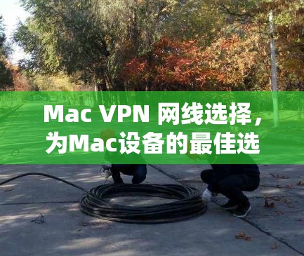 Mac VPN 网线选择，为Mac设备的最佳选择