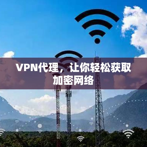 VPN代理，让你轻松获取加密网络