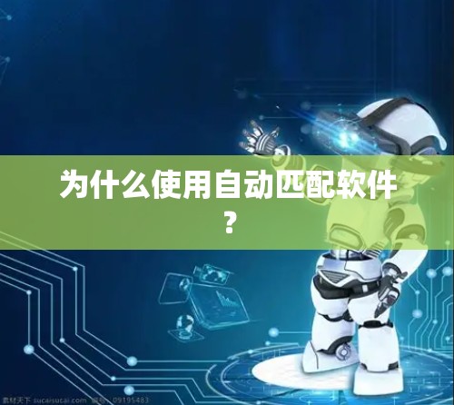 为什么使用自动匹配软件? 为什么使用自动匹配软件?