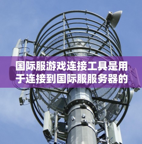 国际服游戏连接工具是用于连接到国际服服务器的软件，帮助用户管理国际服服务器，查看服务器信息并进行游戏连接。以下是对这些工具的详细分步说明