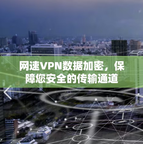 网速VPN数据加密，保障您安全的传输通道