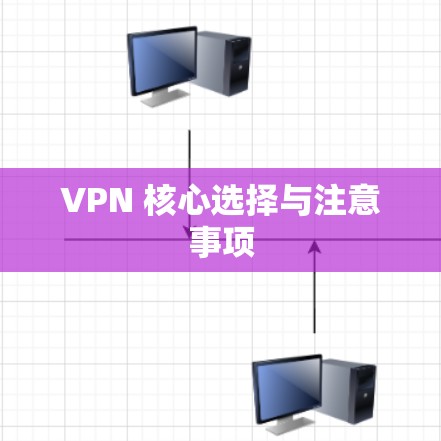VPN 核心选择与注意事项