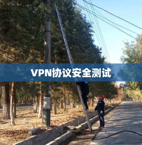 VPN协议安全测试