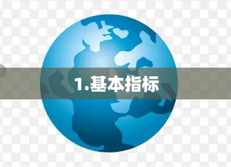1.基本指标