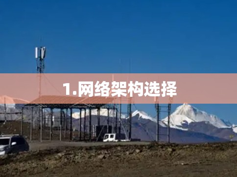 1.网络架构选择
