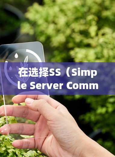 在选择SS（Simple Server Communication）线路时，需要综合考虑多个因素以确保网络高效、可靠和安全。以下是详细的技巧和步骤