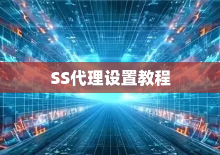 SS代理设置教程