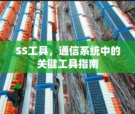 SS工具，通信系统中的关键工具指南