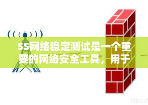 SS网络稳定测试是一个重要的网络安全工具，用于检测网络连接的稳定性，确保网络的可靠性和可用性。以下是关于SS网络稳定测试的详细总结
