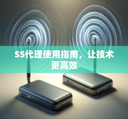 SS代理使用指南，让技术更高效