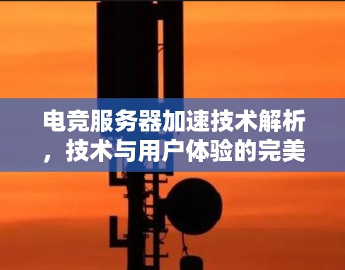 电竞服务器加速技术解析，技术与用户体验的完美结合
