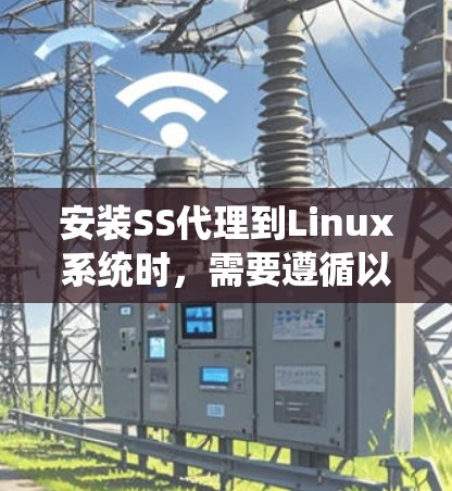 安装SS代理到Linux系统时，需要遵循以下步骤，确保安装成功