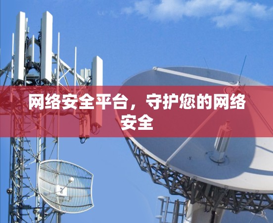 网络安全平台，守护您的网络安全