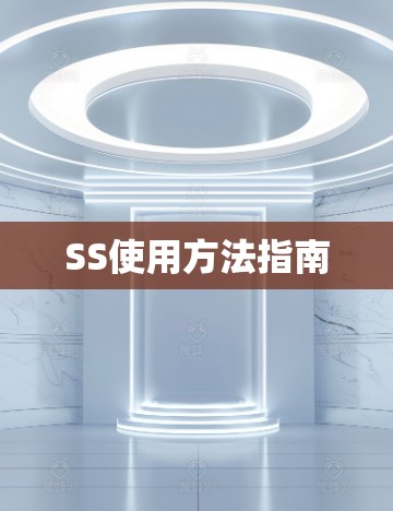 SS使用方法指南