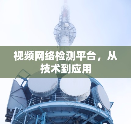 视频网络检测平台，从技术到应用