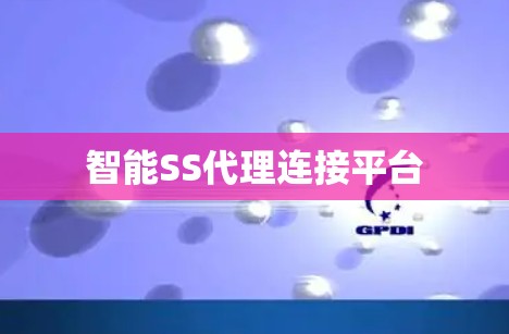 智能SS代理连接平台
